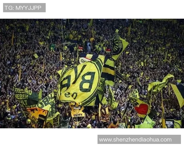 你不知道的多特蒙德:十大冷知识大揭秘