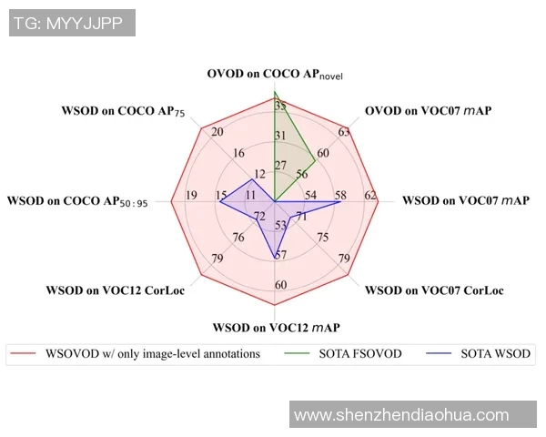 左右脚进球比例差异对球队进攻方向与战术侧重选择的影响分析
